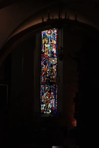 DSC_6196 (Large).JPG